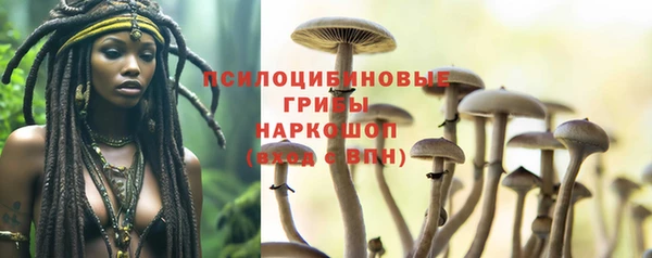 прущий лед Алексеевка