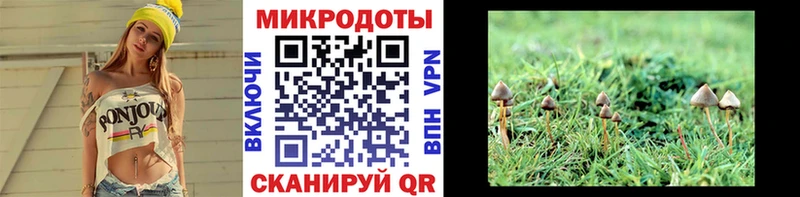 Псилоцибиновые грибы мухоморы  Углич 